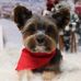 Kathy Greco - Facebook