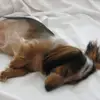 Kathy Grey - @kathy.grey8 - TikTok