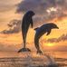 Kathy Grier - Facebook