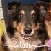 Kathy Grillo - Facebook