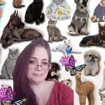 Kathy Hartwig Grillo - @kathygrillodesign - Instagram