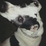 Kathy Grimsley - @grimsley_kathy - Instagram