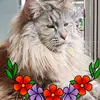 Kathy Griswold - @kathy.griswold7 - TikTok