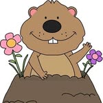 Kathy Graham Rowberry - @kathygrowberry - Instagram