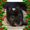 Kathy Fremeau-Guay - @kathyj212121 - TikTok