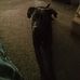 Cathy Ginter - Facebook
