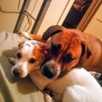 Kathy Guy - @kguy939 - Instagram