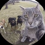 Ka Thy - Facebook