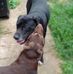 Kathy Guyot - Facebook