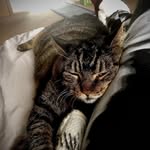 Kathy Haars - @kathyhaars - Instagram