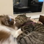 Kathy Ward Hackbarth - @kathyhackbarth - Instagram