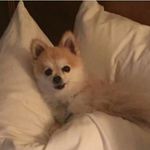 Kathy Hackett - @kathyihackett - Instagram