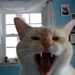 Kathy Hackett - @kathy.hackett.96 - Instagram