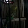 kathy.heckman - @user03566220 - TikTok