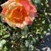 Kathy Hadden - Facebook