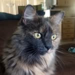 Kathleen Hade - @kathyhade - Instagram