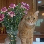 Kathy Connor Ford Haight - @kathy.c.ford.1 - Instagram