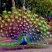Kathy Haight - Facebook