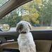 Kathy Haight - Facebook