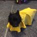 Kathy Helbig - Facebook
