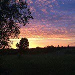 kathy halcomb - @kathyhalcomb - Instagram