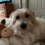 Kathy Hallerberg - @kathy.hallerberg - Instagram