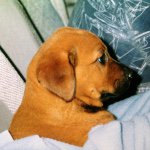 Kathy Steward Hallmark - @kathy.steward.hallmark - Instagram
