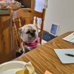 Kathryn Halstead - Facebook