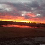 Kathy Halstead-Adler Miller - @kathyhalsteadadler - Instagram