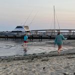 Kathy Halstead-Ryan - @kathyhalsteadryan - Instagram