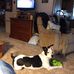 Kathy Halter - Facebook
