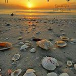 Kathy Hamill Sullivan - @kathysullivan9443 - Instagram