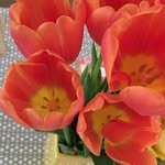 Kathy Hamlet - @kathy.hamlet.75 - Instagram