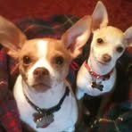 Kathy Hammack - Facebook