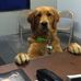 Kathy Hammen - Facebook