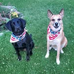 Kathy Hamner - @kat_hamner - Instagram