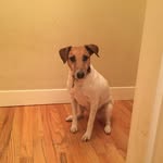 Kathy Hanlon - @kathyhanlon21 - Instagram