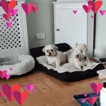 Kathy Hanlon - @hanlonkathy - Instagram