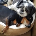 Kathy Hanlon Bartlett - @kbart0328 - Instagram