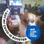 Kathy Hardesty - @hardesty3550 - Instagram