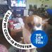 Kathy Hardesty - Facebook