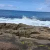 Kathie Hargis - @kathie.hargis - TikTok