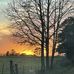 Kathi Harrod - Facebook