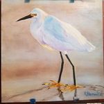 Kathy Harrod - @kathharrod - Instagram