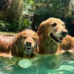 Kathy Derigo Hartmann - @kathyhartmann - Instagram
