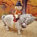 Kathy Hartmann - Facebook