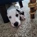 Kathryn Hash - Facebook