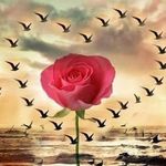 Kathy Hatcher - @kathy.hatcher.9843 - Instagram