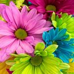 Kathy Hatcher - @kathyhatcher79 - Instagram
