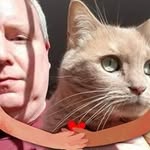 Kathy Hatt - @hattkathy - Instagram
